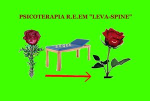 metodologia levaspine